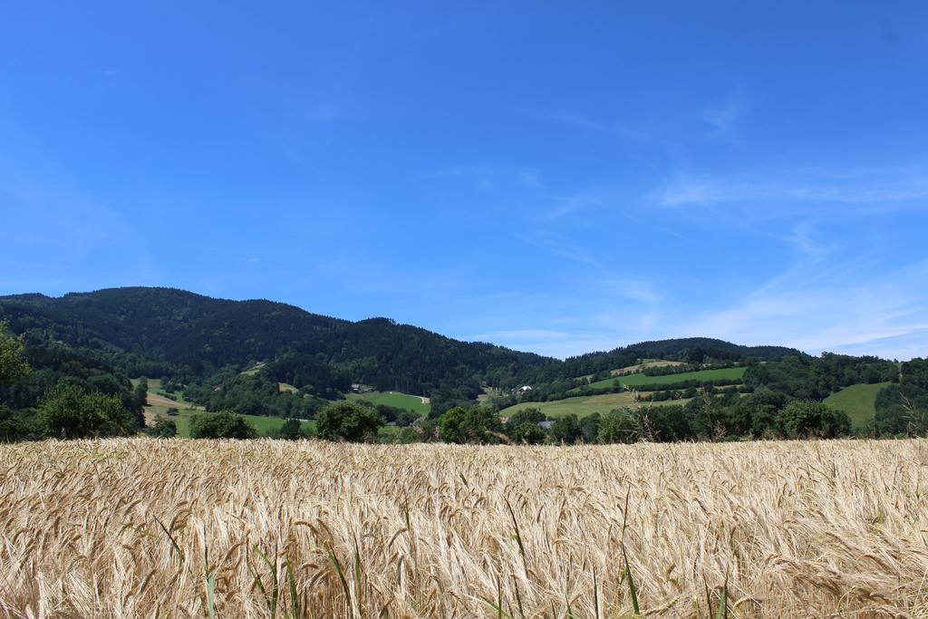 Landgasthof Zum Schuetzen Hotel Oberried  Buitenkant foto