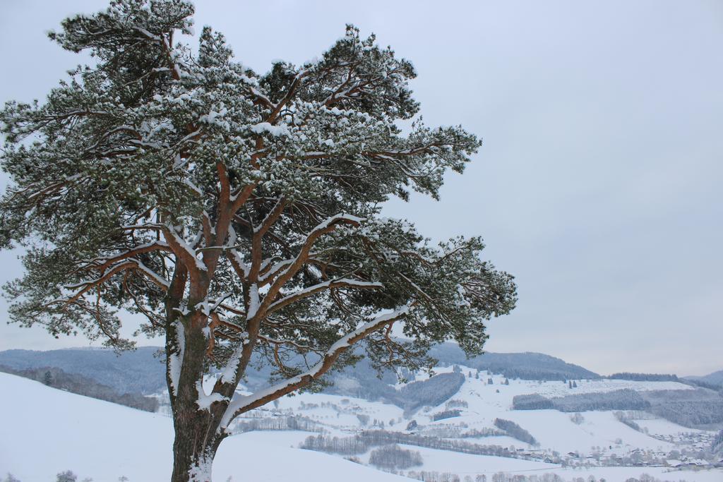 Landgasthof Zum Schuetzen Oberried  Buitenkant foto