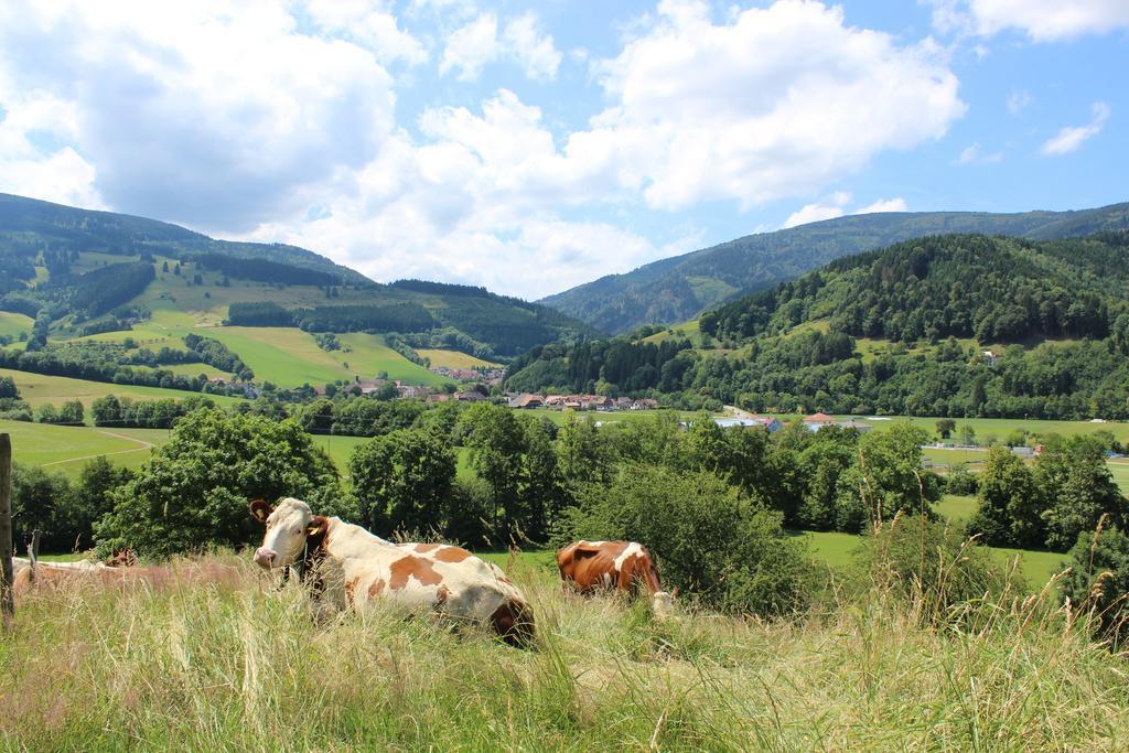 Landgasthof Zum Schuetzen Hotel Oberried  Buitenkant foto