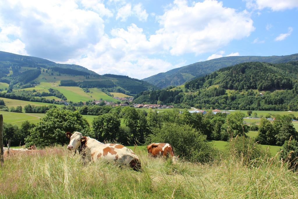 Landgasthof Zum Schuetzen Oberried  Buitenkant foto