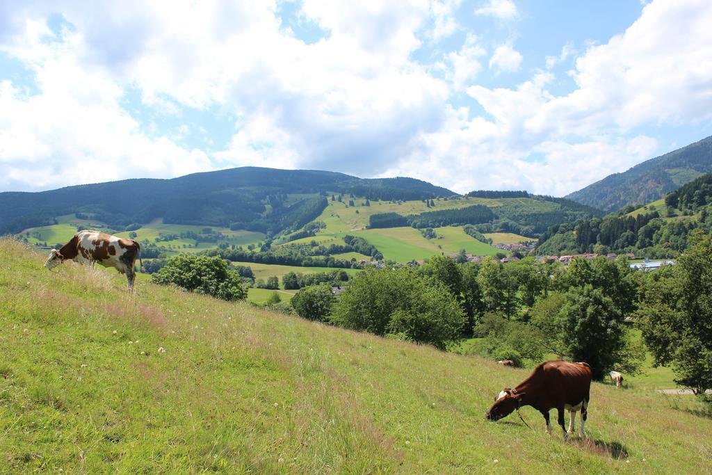 Landgasthof Zum Schuetzen Hotel Oberried  Buitenkant foto